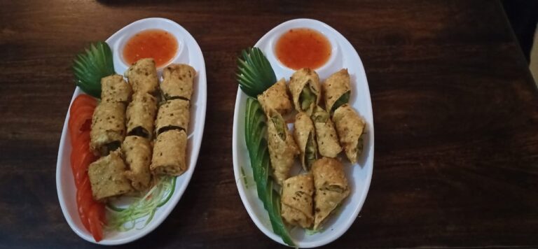 Best Veg Spring Roll In Udaipur